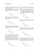 PROCESSES FOR THE PREPARATION OF HYDROXYLAMINES diagram and image