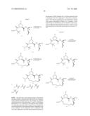 HYDRAZIDE-CONTAINING HEPATITIS C SERINE PROTEASE INHIBITORS diagram and image