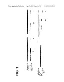 Methods and Compositions for Mammalian Cell Lines for Transfection and Protein Expression in Serum-Free Medium diagram and image
