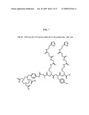 Methods and Compositions for F-18 Labeling of Proteins, Peptides and Other Molecules diagram and image