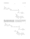 Camptothecin-Binding Moiety Conjugates diagram and image