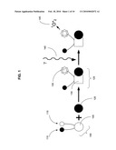 Biological targeting compositions and methods of using the same diagram and image