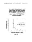 Anthracycline-Antibody Conjugates for Cancer Therapy diagram and image