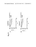 Humanized L243 Antibodies diagram and image