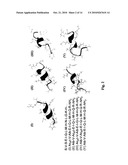 Polypeptide comprising a knottin protein moiety diagram and image
