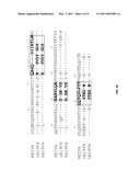 Anti-CD19 Antibodies diagram and image