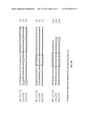 Anti-CD74 Immunoconjugates and Methods diagram and image