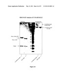 Multivalent Immunoglobulin-Based Bioactive Assemblies diagram and image