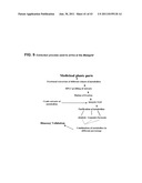 Screening Method (Metabolite Grid) for  Therapeutic Extracts and Molecules     for Diabetes diagram and image