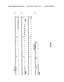 Alpha-Fetoprotein Immu31 Antibodies and Fusion Proteins and Methods of Use     Thereof diagram and image
