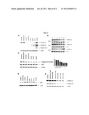 Multiple Signaling Pathways Induced by Hexavalent, Monospecific and     Bispecific Antibodies for Enhanced Toxicity to B-Cell Lymphomas and Other     Diseases diagram and image