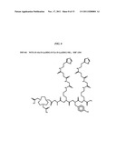 Methods and Compositions for F-18 Labeling of Proteins, Peptides and Other     Molecules diagram and image