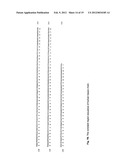 ANTI-CD20 ANTIBODIES AND FUSION PROTEINS THEROF AND METHODS OF USE diagram and image