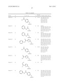 6-11 Bicyclic Ketolide Derivatives diagram and image