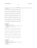 Anti-CD19 Antibodies diagram and image