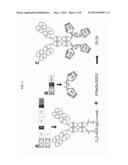 Modular Method to Prepare Tetrameric Cytokines with Improved     Pharmacokinetics by the Dock-and-Lock (DNL) Technology diagram and image