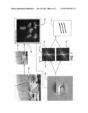 No-Reference Spatial Aliasing Measure for Digital Image Resizing diagram and image
