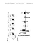 Antibody-Based Depletion of Antigen-Presenting Cells and Dendritic Cells diagram and image