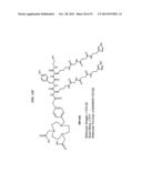 Methods and Compositions for Improved F-18 Labeling of Proteins, Peptides     and Other Molecules diagram and image