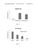 RAT-EYE BEAN EXTRACT IMPROVING BLOOD GLUCOSE CONTROL AND BIOACTIVITY AND     METHOD OF PRODUCING THE SAME diagram and image