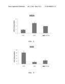 RAT-EYE BEAN EXTRACT IMPROVING BLOOD GLUCOSE CONTROL AND BIOACTIVITY AND     METHOD OF PRODUCING THE SAME diagram and image