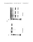Ultrafiltration Concentration of Allotype Selected Antibodies for     Small-Volume Administration diagram and image