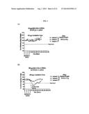 PRO-DRUG FORM (P2PDOX) OF THE HIGHLY POTENT 2-PYRROLINODOXORUBICIN     CONJUGATED TO ANTIBODIES FOR TARGETED THERAPY OF CANCER diagram and image
