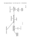 SYSTEMS AND METHODS MAKING RECOMMENDATIONS BASED ON DATA FROM WEARABLE     DEVICES diagram and image