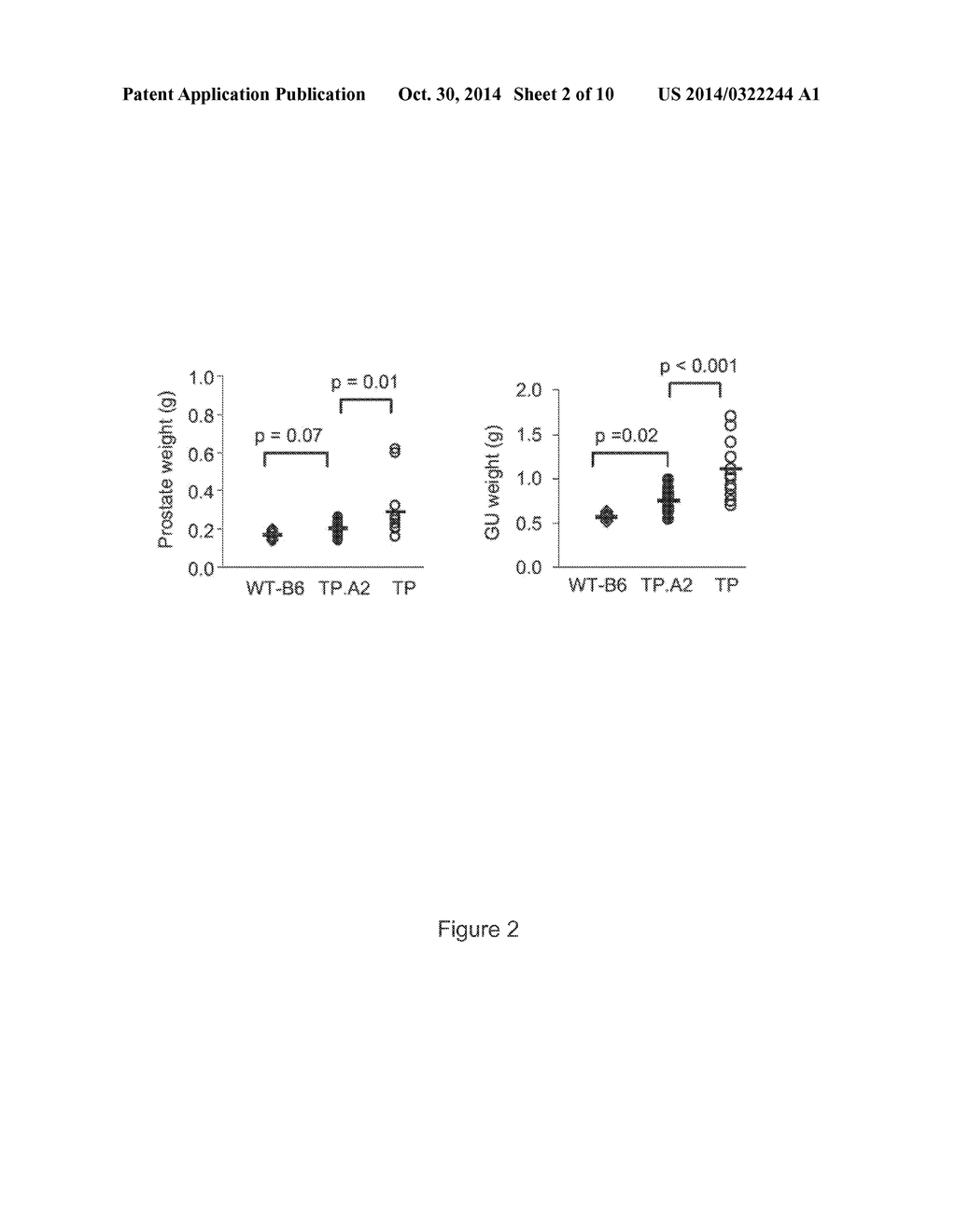 MIC-BINDING ANTIBODIES AND METHODS OF USE THEREOF - diagram, schematic, and image 03