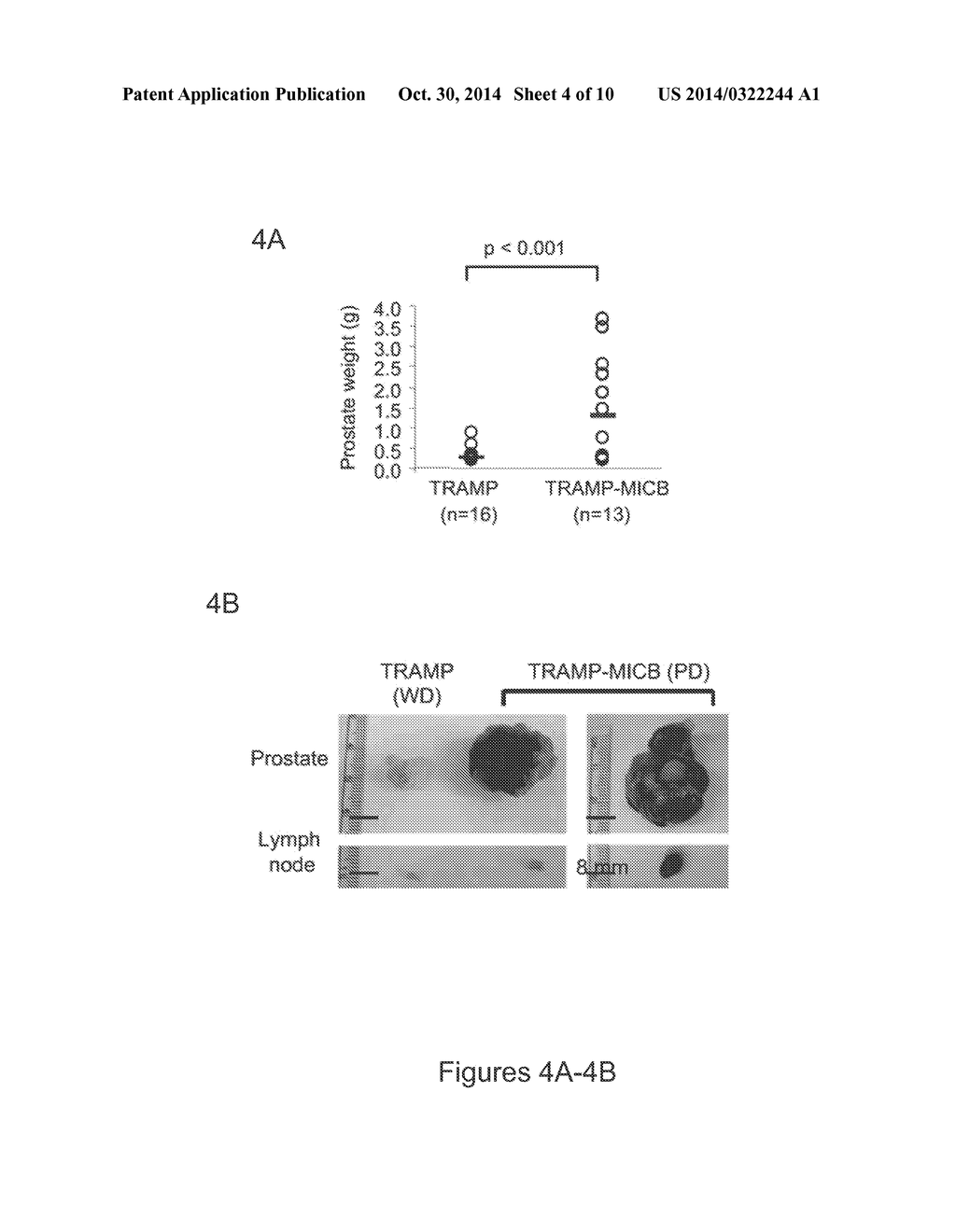MIC-BINDING ANTIBODIES AND METHODS OF USE THEREOF - diagram, schematic, and image 05