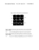 AGR2 BLOCKING ANTIBODY AND USE THEREOF diagram and image
