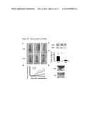 AGR2 BLOCKING ANTIBODY AND USE THEREOF diagram and image