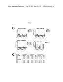 Dock-and-Lock (DNL) Complexes for Therapeutic and Diagnostic Use diagram and image