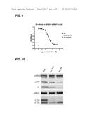 SINGLE DOMAIN ANTIBODIES CAPABLE OF MODULATING BACE ACTIVITY diagram and image