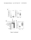 MiRNA-31 AS A DIAGNOSTIC, PROGNOSTIC AND THERAPEUTIC AGENT IN CANCER diagram and image