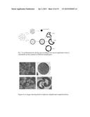 MICROPARTICLES AND A SYTEM AND METHOD FOR THE SYNTHESIS OF MICROPARTICLES diagram and image