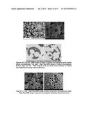 MICROPARTICLES AND A SYTEM AND METHOD FOR THE SYNTHESIS OF MICROPARTICLES diagram and image