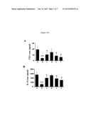 SYNERGISTIC ANTI-INFLAMMATORY COMPOSITIONS COMPRISING BOSWELLIA SERRATA     EXTRACT diagram and image