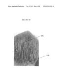 COMPOSITIONS AND METHODS FOR HAIR GROWTH diagram and image