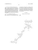 Water-Soluble Rhodamine Dye Conjugates diagram and image
