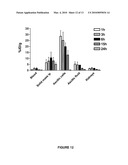 Human Anti-Folate Receptor Alpha Antibodies and Antibody Fragments for the Radioimmunotherapy of Ovarian Carcinoma diagram and image