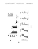 Methods for Assessing Cancer for Increased Sensitivity to 10-Propargyl-10-Deazaaminopterin by Assessing Egfr Levels diagram and image