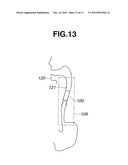 LIVING-BODY OBSERVATION SYSTEM AND DRIVING METHOD OF THE LIVING-BODY OBSERVATION SYSTEM diagram and image