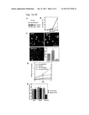 Inhibition of Tumor Growth via Peroxiredoxin 3 diagram and image