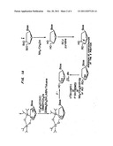 BETA-L-2 -DEOXY-NUCLEOSIDES FOR THE TREATMENT OF HEPATITIS B diagram and image