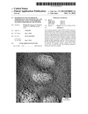  Method of in situ synthesis by thermite reaction with sol-gel and     FeNiCrTi/NiAl-A12O3 nanocomposite materials prepared by the method diagram and image