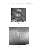  Method of in situ synthesis by thermite reaction with sol-gel and     FeNiCrTi/NiAl-A12O3 nanocomposite materials prepared by the method diagram and image