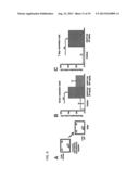 Method and  Therapeutic for the Treatment and Regulation of Memory     Formation diagram and image