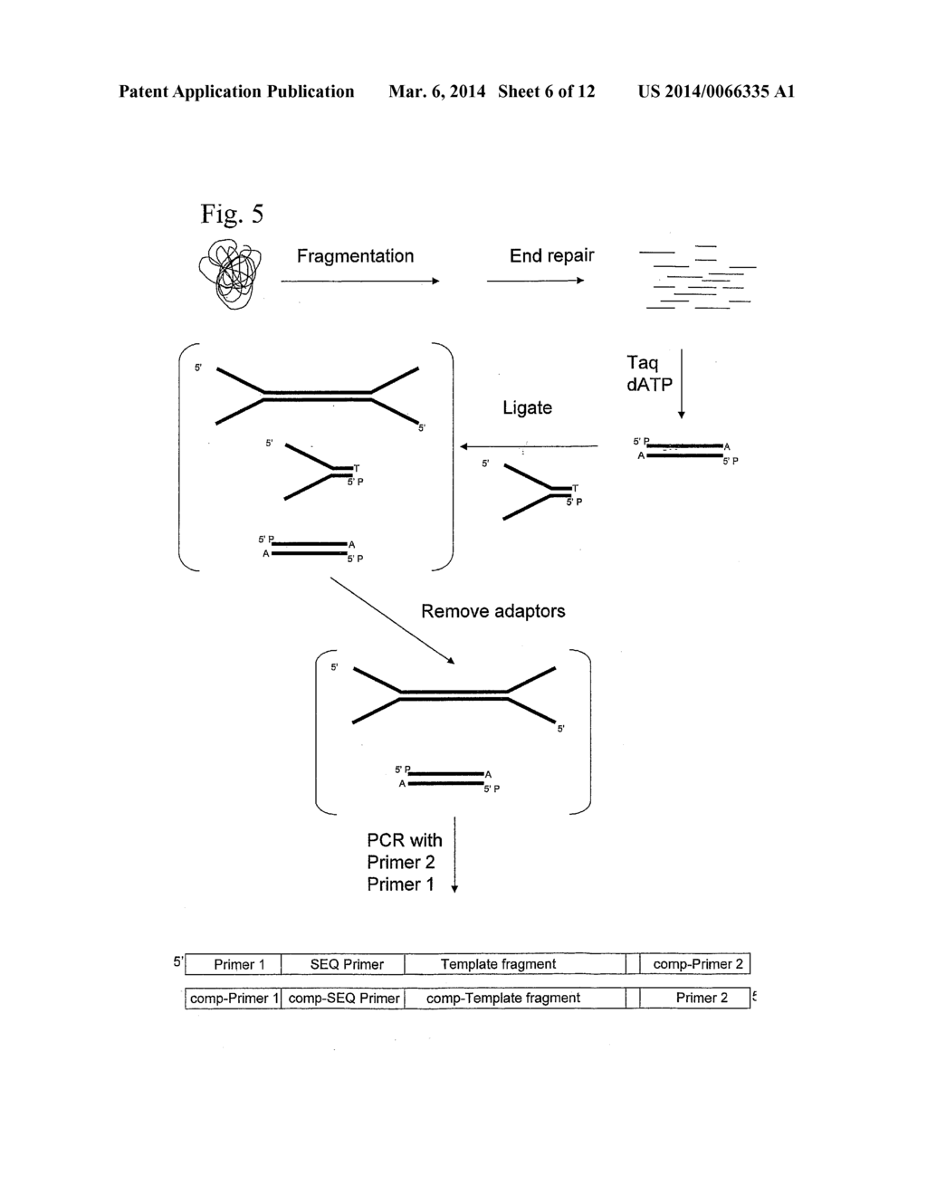 Method of preparing libraries of template polynucleotides - diagram, schematic, and image 07