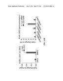 Novel Suicidal LSD1 Inhibitors Targeting SOX2-Expressing Cancer Cells diagram and image